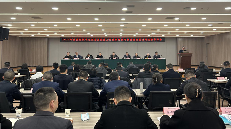 谈球吧集团党委召开2023年党组织书记抓基层党建述职评议会